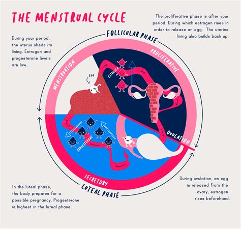 Sexual liberation or witchcraft: Examining the connotations of menstrual intercourse